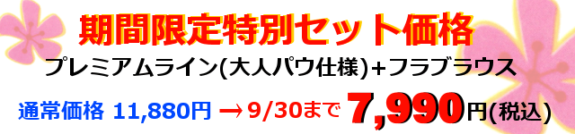 プレミアム　パウスカートセット　限定価格