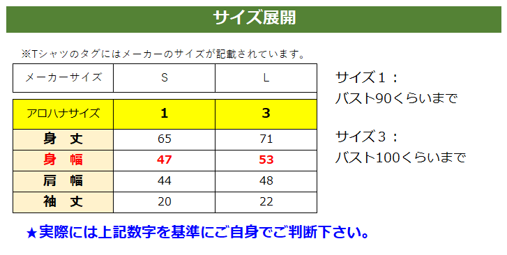 サラッと着心地抜群】フラTシャツ・ALOHANAオリジナル（Smile