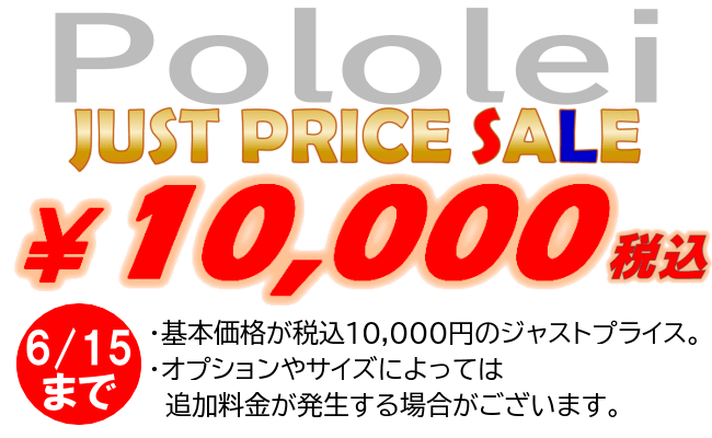 ジャストプライス税込10,000円