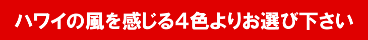 カラーは下記よりお選び下さい