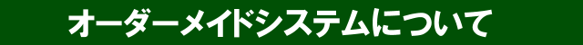 オーダーメイドシステムについて