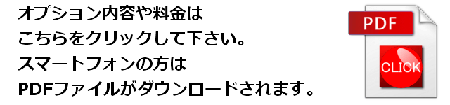 オプションの詳細はこちら