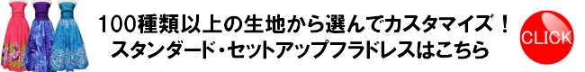 スタンダードセットアップフラドレスはこちら