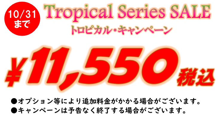 トロピカルフェア価格